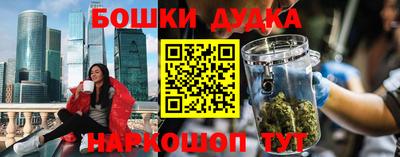 сатива Славгород
