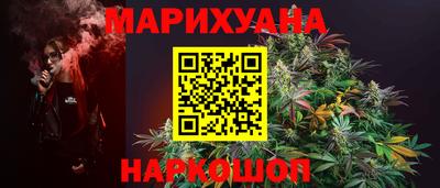 сатива Славгород
